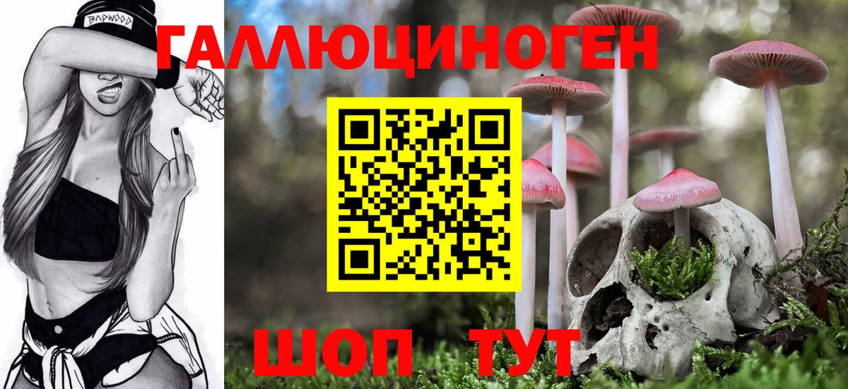 Псилоцибиновые грибы Cubensis Кольчугино